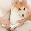 Xiaomi Pawbby Haustiere Haarschneider Hund Katze Rasierer Produktbild-Vorschau 6