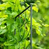 Garten Terrasse Pergola Rosenstütze Set Metall Stabil Produktbild-Vorschau 7