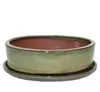 Bonsai-Schale mit Unterteller Gr. 4 - Oliv-Braun - oval - Produktbild-Vorschau 1