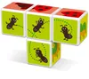 Geomag Magicube insects, magnetické kostky s potiskem, 4 Náhled obrázku produktu 4