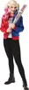 Offizielles Harley Quinn™-Kostüm-Set Suicide Squad für Produktbild-Vorschau 1