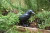 Esschert Design Vogelschreck Krähe; FY18 Produktbild-Vorschau 12
