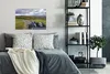 MuchoWow® Poster Traktor - Natur - Wolke 60x40 cm - Produktbild-Vorschau 4