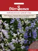 Dürr-Samen - Nepeta subsessilis Katzenminze Grand View Produktbild-Vorschau 1