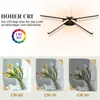 ZMH LED lampa sufitowa czarna lampa sufitowa 24W ciepłe Podgląd zdjęcia produktu 5