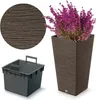 A planter with a plant and a close-up of its texture, along with a separate insert. Produktbild-Vorschau