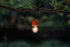 A small orange and clear lantern is hanging from a tree branch in a natural outdoor setting. Podgląd zdjęcia produktu