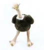 RAPPA Struzzo di peluche 32 cm ECO-FRIENDLY Anteprima dell’immagine prodotto 6