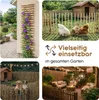 Staketenzaun 50 cm Abstand 7-9cm · 500 cm lang · Produktbild-Vorschau 2