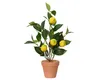 Künstlicher Zitronenbaum h45cm Produktbild-Vorschau 1