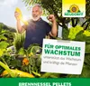 Neudorff Brennnessel Pellets 500 g für 330L Produktbild-Vorschau 6