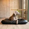 4L Textil ELLA Kunstleder Hundebett große Hunde Hundekissen Produktbild-Vorschau 1
