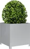 A green plant in a gray square planter. Anteprima dell’immagine prodotto