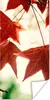 MuchoWow® Poster Herbstblätter - November - Natur - Bäume Produktbild-Vorschau 1