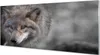 Glasbilder 125x50 Wandkunst Wolf Produktbild-Vorschau 1