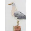 Sada křížkového vyšívání Thea Governor "Seagull counted Náhled obrázku produktu 2