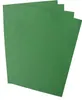 pavo Einbanddeckel, Lederstruktur, DIN A4, grn Productafbeelding-voorbeeld 5