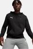 Puma Herren Teamgoal Casuals Hoody Pullover, Puma Produktbild-Vorschau 10