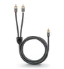 Goobay 65300, 2 x RCA, Samec, RCA, Samec, 2 m, Černá, Náhled obrázku produktu 16