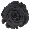 Infinity Rose L Ø5cm konserviert stabilisiert haltbar Produktbild-Vorschau 1