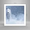 Poster - Poster ohne Rahmen - Weiß Wolf Schnee - 50x50 cm - Produktbild-Vorschau 4