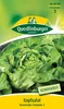 Quedlinburger Saatgut - Kopfsalat Kagraner Sommer 2 - Samen Produktbild-Vorschau 1