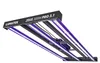 Lumatek ZEUS 300W PRO 3.1 LED-Growlampe Vollspektrum Produktbild-Vorschau 4