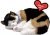 Adopt Me Atmungsaktive Kätzchen Dreifarbig Perfect Petzzz Produktbild-Vorschau 2