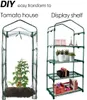 A collage showing a mini greenhouse with a tomato plant and a display shelf with decorative items. Náhled obrázku produktu