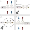 Aquabad® Multiblock Heizkörperthermostat, Weiß, Produktbild-Vorschau 6