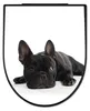 WC Sitz D-Form Schwarz mit Absenkautomatik Motiv Bulldogge Produktbild-Vorschau 8