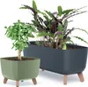 Two planters with plants on a white background. Voir les images du produit
