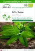 SAFLAX - BIO - Šalvia - Salvia officinalis - 60 Semená - S Náhľad obrázku produktu 1