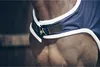 Close-up of a horse wearing a navy blue rug with white trim and a brown leather tag. Produktbild-Vorschau