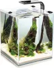 AQUAEL Nano-Aquarium "Shrimp Set Day & Night", 30 L, Produktbild-Vorschau 16