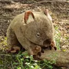 Realistisches Wombat Plüschtier, 26 cm, weiches Produktbild-Vorschau 4