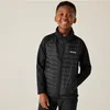 Regatta Trekktain 3 in 1 Jacke für Jungen Wasserdicht mit Produktbild-Vorschau 2