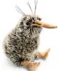 Carl Dick Uccello Kiwi ca. 15 cm, ca. 20 cm incluso il Anteprima dell’immagine prodotto 1