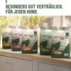 REAVET HYPOCONCEPT Hundetrockenfutter Lamm 1kg – Produktbild-Vorschau 6