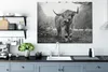 MuchoWow® - Leinwandbilder - Schottische Highlander - Natur Produktbild-Vorschau 4