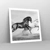 Poster - Poster ohne Rahmen - Pferde Tiere Galopp Wiese - Produktbild-Vorschau 7