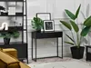 A modern living room with a black console table, a bookshelf, and plants. Produktbild-Vorschau
