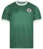 JELEX Herren Deutschland Auswärtstrikot Retro History green Produktbild-Vorschau 1