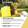 REAVET Vitamin B Komplex Hund 120 Tabs – Hochdosiert mit Produktbild-Vorschau 6