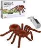 MPK Toys MAGANA Pavouk na ovládání Náhľad obrázku produktu 7