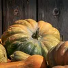 Deine Gartenwelt Muskatkürbis Muscade de Provence Saatgut - Zusatzbild 4 Produktbild-Vorschau