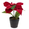 Betlémská hvězda Umělá sametová v květináči Poinsettia Náhled obrázku produktu 5
