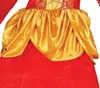Close-up of a historical costume's bodice and skirt. Produktbild-Vorschau