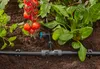 Gardena Reihentropfer regulierbar Produktbild-Vorschau 15