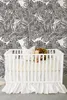 Coloray Fototapete 250x104 cm Vlies-Fototapete - Palmblatt Produktbild-Vorschau 1